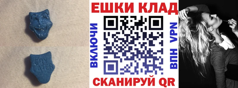 Ecstasy Punisher  блэк спрут ССЫЛКА  Чайковский 