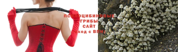 MDMA Premium VHQ Кукмор