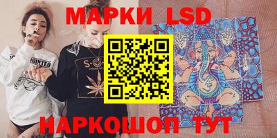 гашик Кингисепп