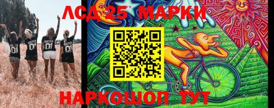 гашик Кингисепп