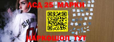 гашик Кингисепп