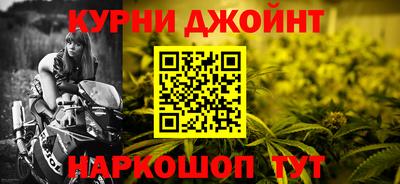 гашик Кингисепп