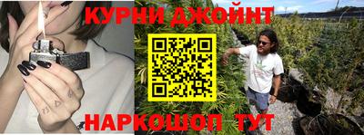 сатива Беслан