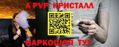 гашик Кингисепп