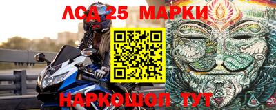 Альфа ПВП Бийск