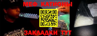 гашик Кингисепп