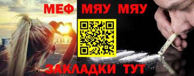 гашик Кингисепп
