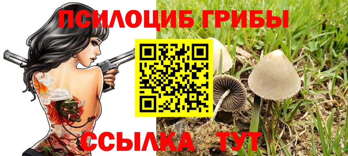 где можно купить   Галлюциногенные грибы ЛСД  Вход с VPN  Чайковский  Галлюциногенные грибы прущие грибы 