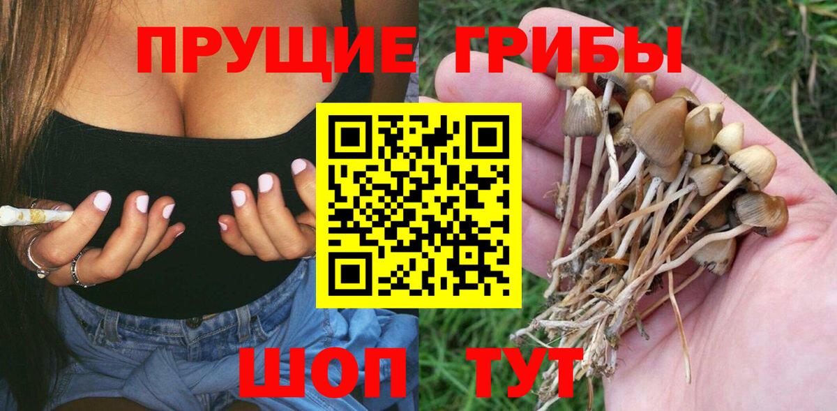 Псилоцибиновые грибы мицелий Чайковский